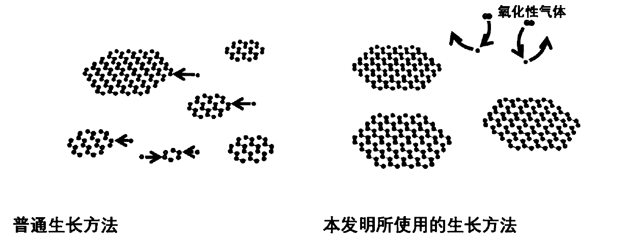 Graphene single crystal and growth method thereof