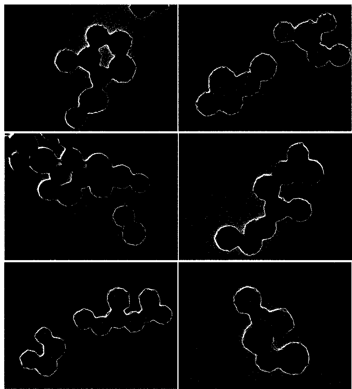 Tri-fluorescent emission molecularly imprinted sensor and preparation method and application thereof