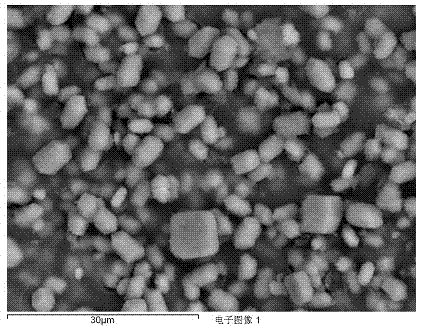 A method for removing heavy metals cadmium, lead and copper in water with Fred's salt