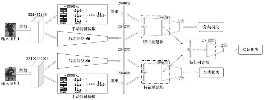 Pedestrian Re-Identification Method Based on Enhanced Deep Convolutional Neural Network