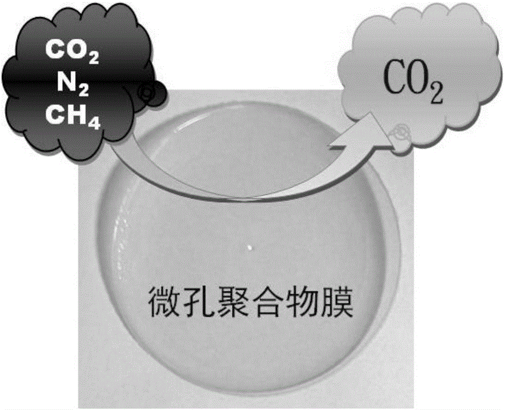 Copolymers of intrinsic microporosity, and preparation method and application thereof