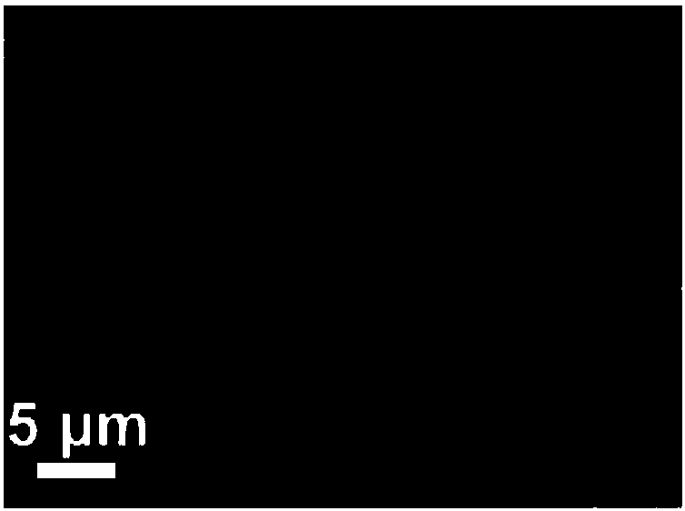 Lysozyme-modified medical gauze