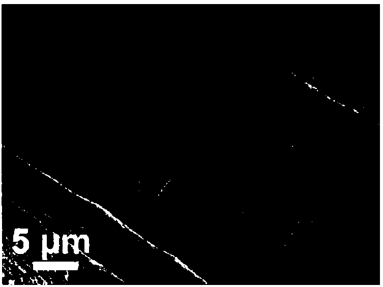 Lysozyme-modified medical gauze