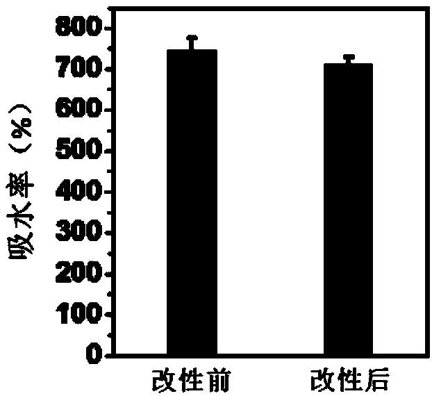 Lysozyme-modified medical gauze