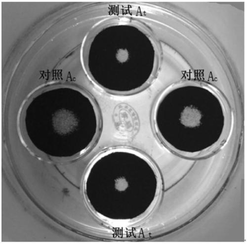 Detergent composition with mite control function