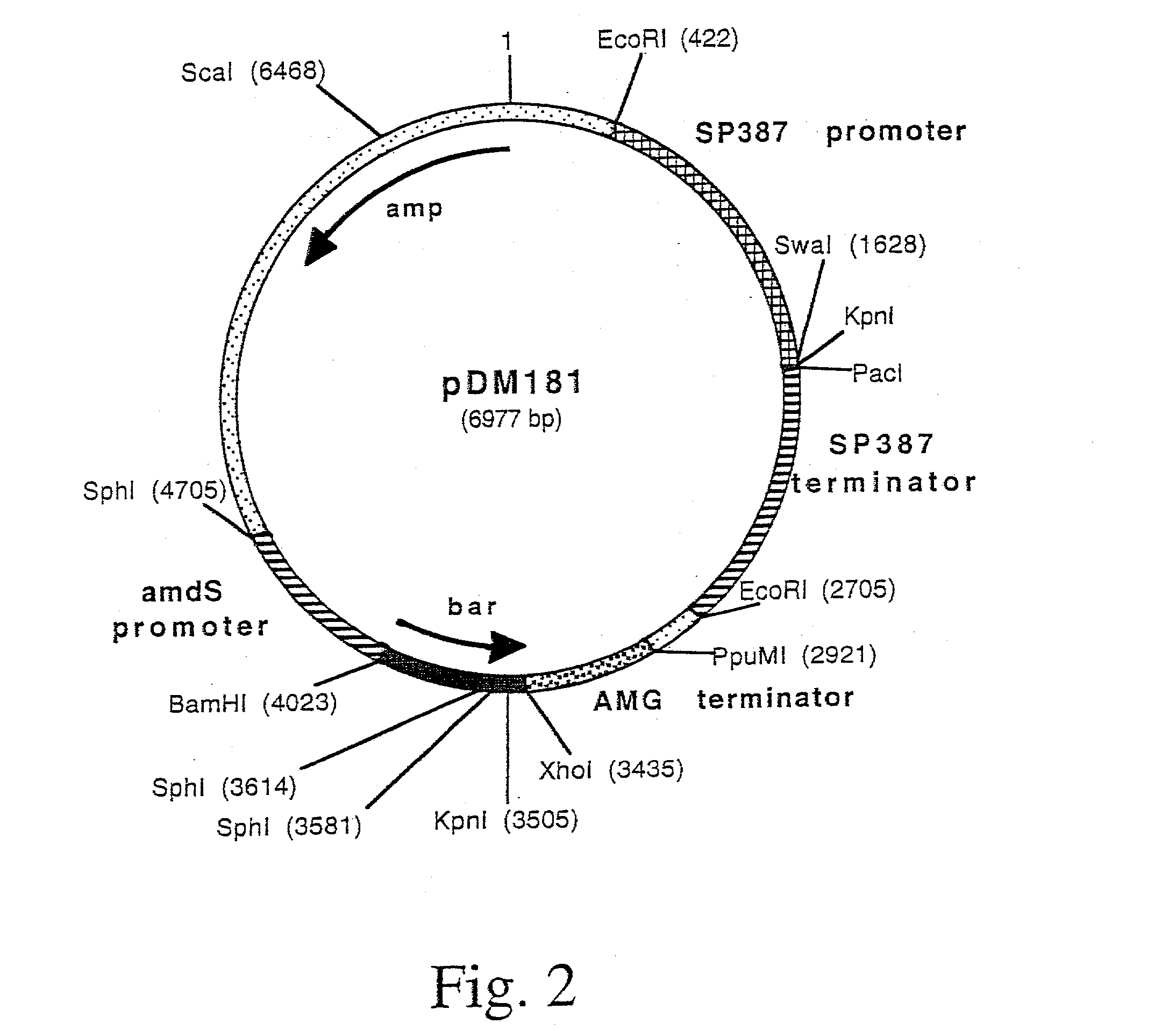 Polypeptides having lactonohydrolase activity and nucleic acids encoding same