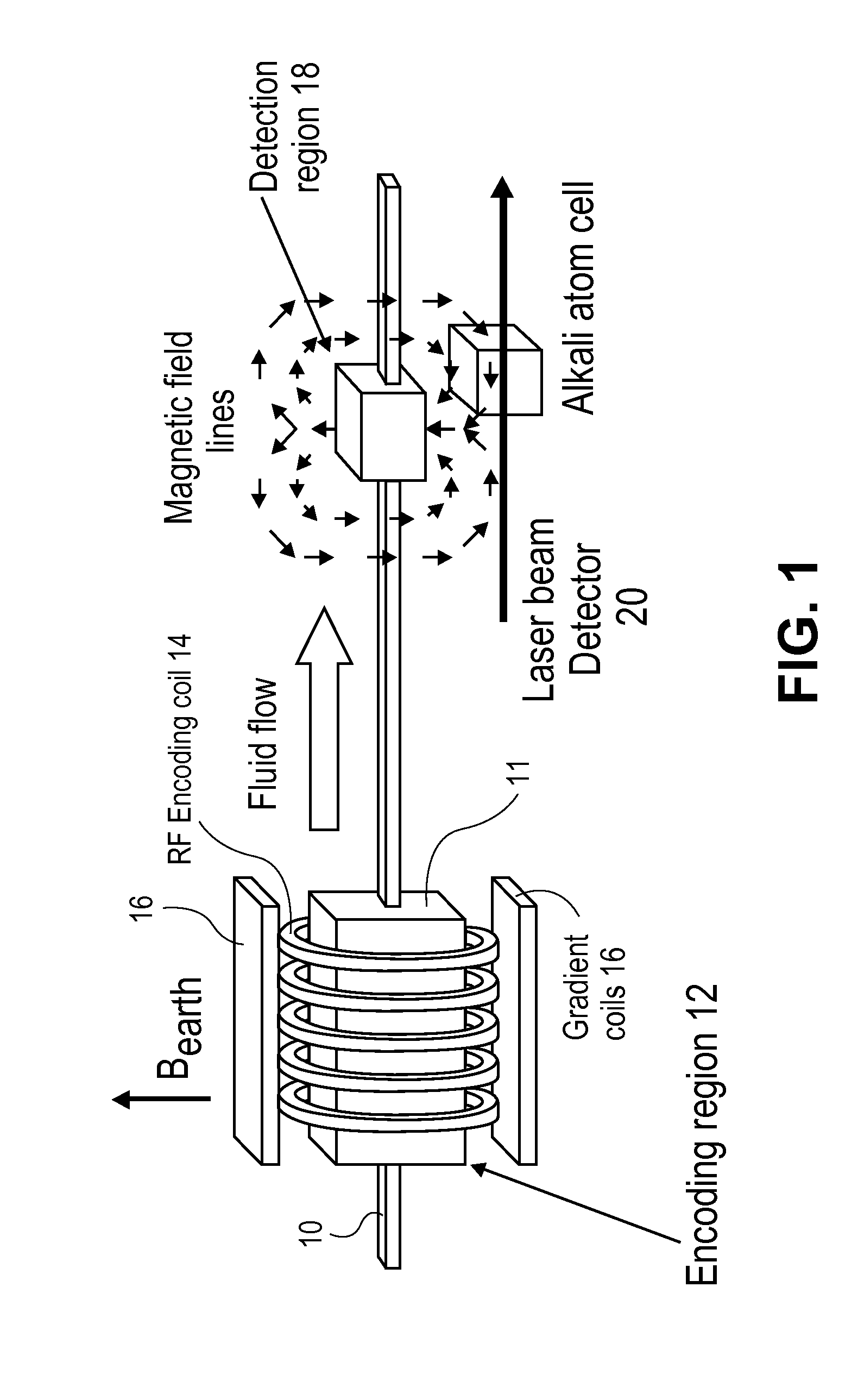 Magnetic resonance imaging of living systems by remote detection