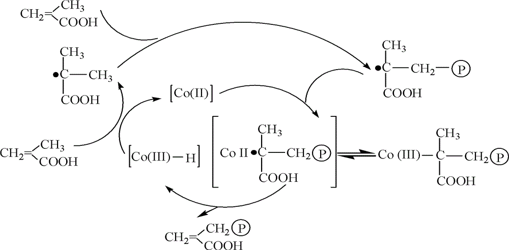 Quantum dots modified by macromolecular monomer, preparation method for quantum dots and application of quantum dots