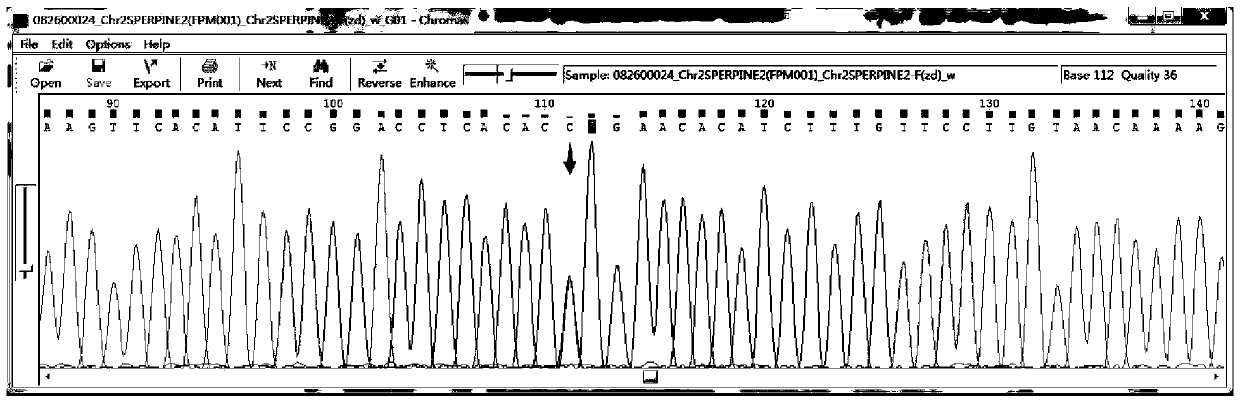 Pulmonary thromboembolism gene panel kit and application thereof