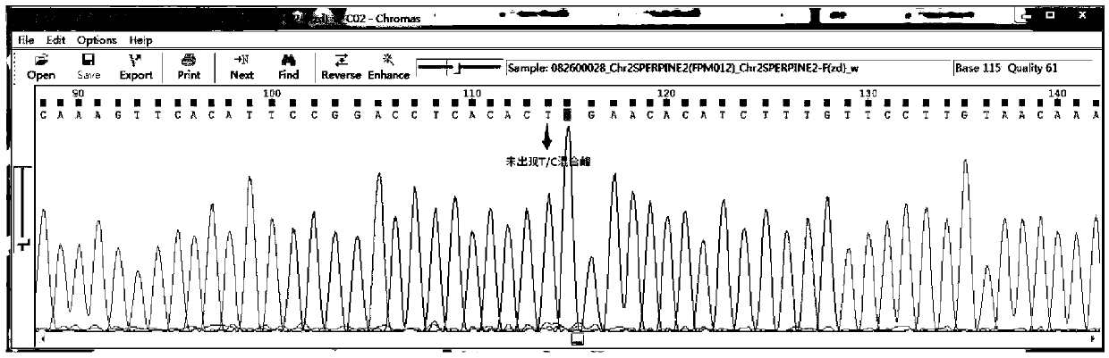 Pulmonary thromboembolism gene panel kit and application thereof