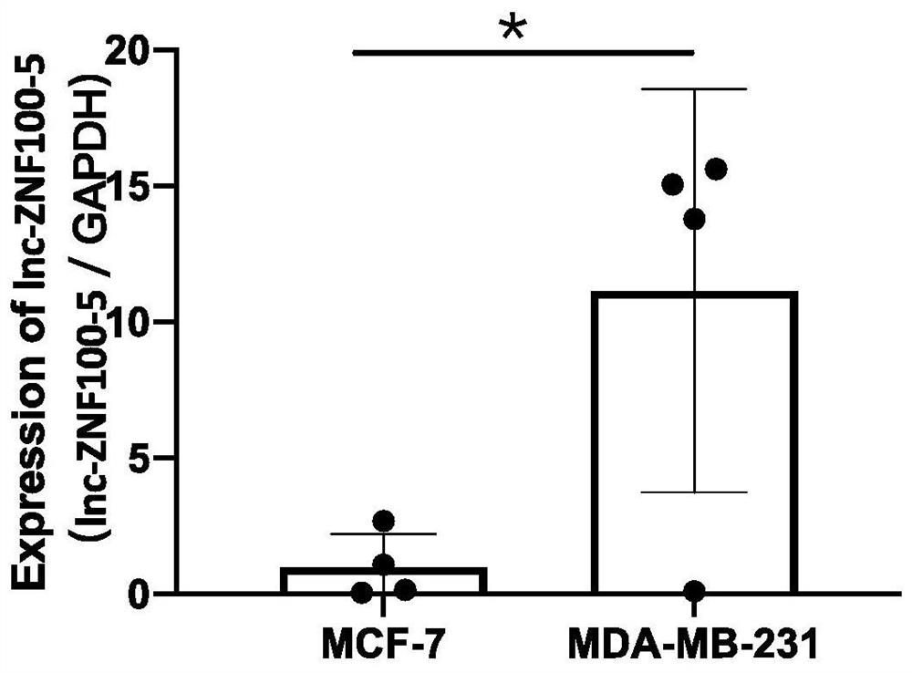 Application of lnc-znf100-5 functional expression inhibitor in preparation of medicine for treating breast cancer