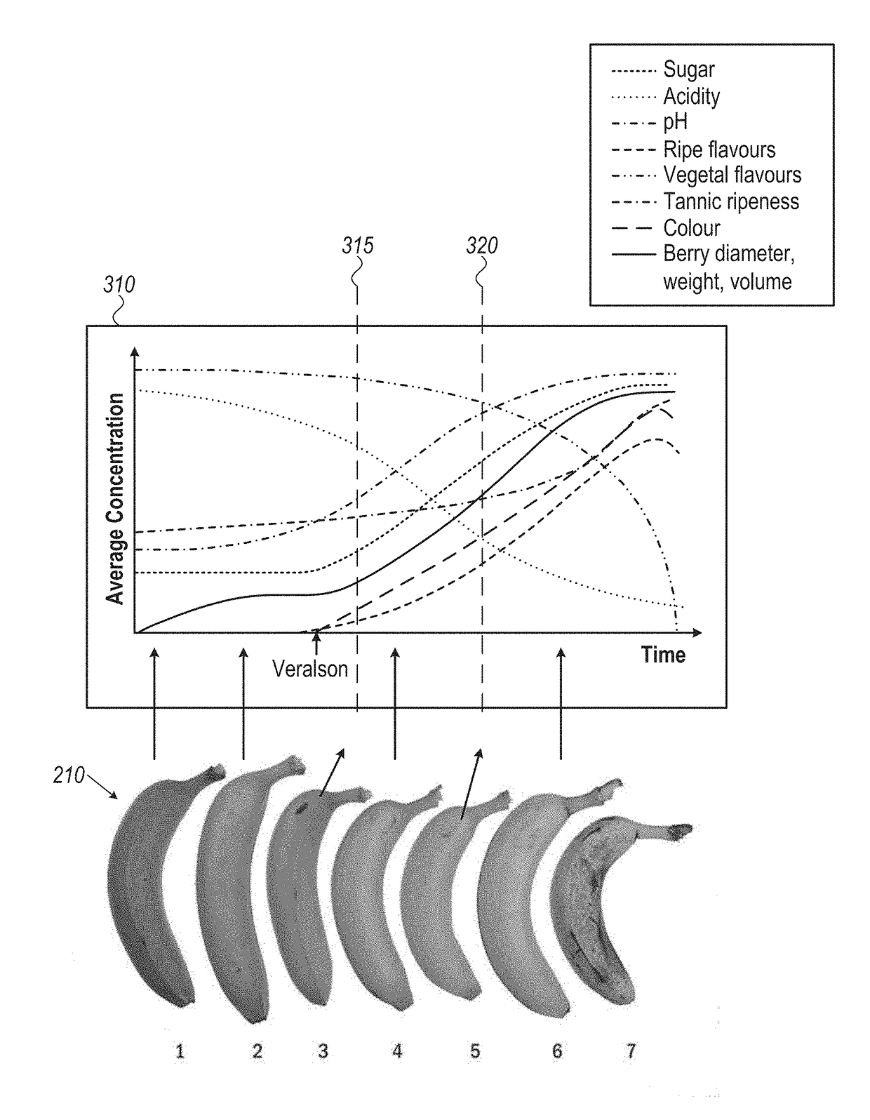 System and method for evaluating fruits and vegetables