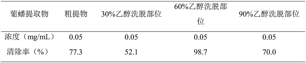 Broussonetia kazinoki extract and application thereof