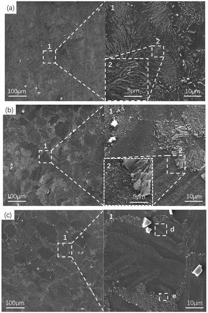 Pre-deformed magnesium alloy and processing method thereof