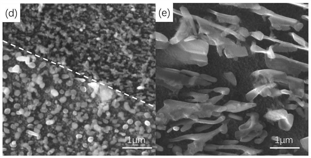 Pre-deformed magnesium alloy and processing method thereof