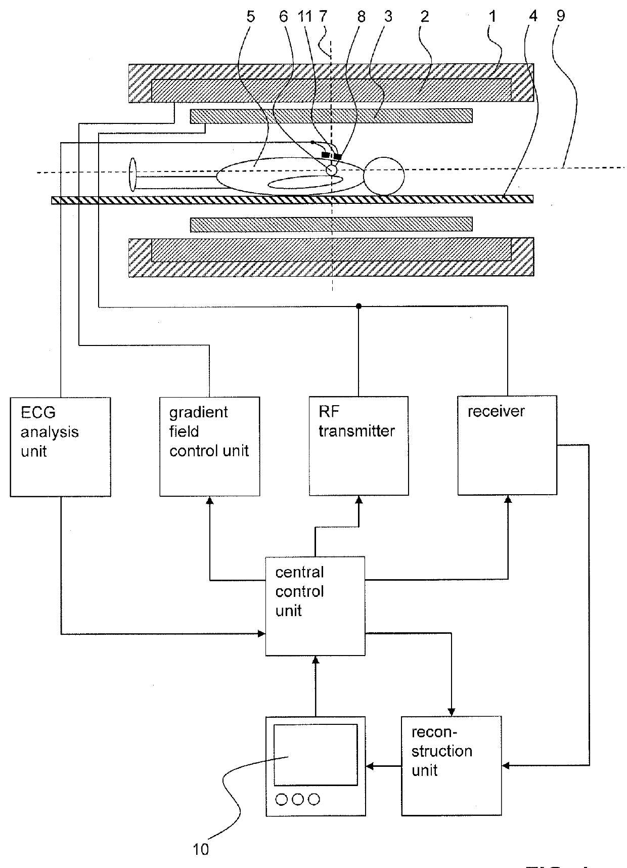 Magnetic resonance imaging method for imaging components with short transverse relaxation times (T2) in a human or an animal heart