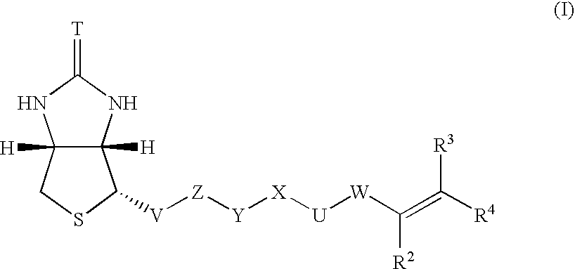 Polymerizable biotin derivatives, biotin polymer, and polymer responsive to avidin stimulation