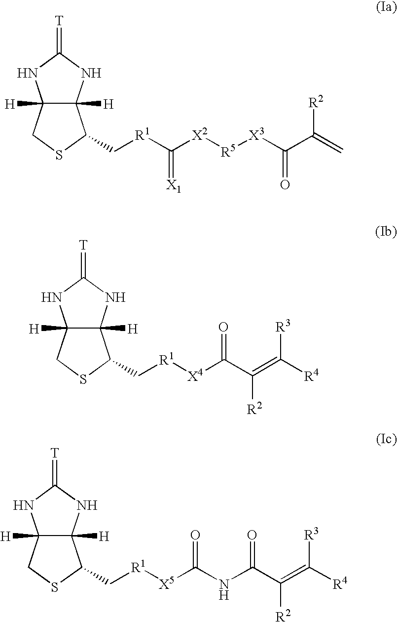 Polymerizable biotin derivatives, biotin polymer, and polymer responsive to avidin stimulation