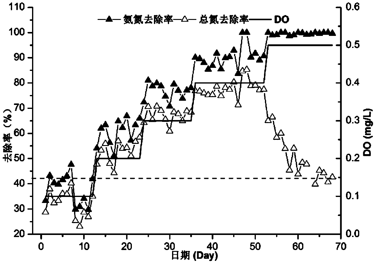 High-efficiency running method by using sequencing batch full-autotrophic denitration granular sludge