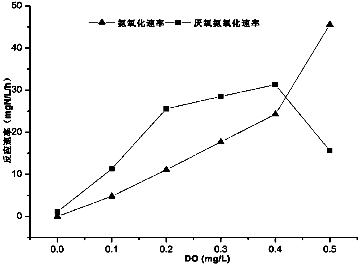 High-efficiency running method by using sequencing batch full-autotrophic denitration granular sludge