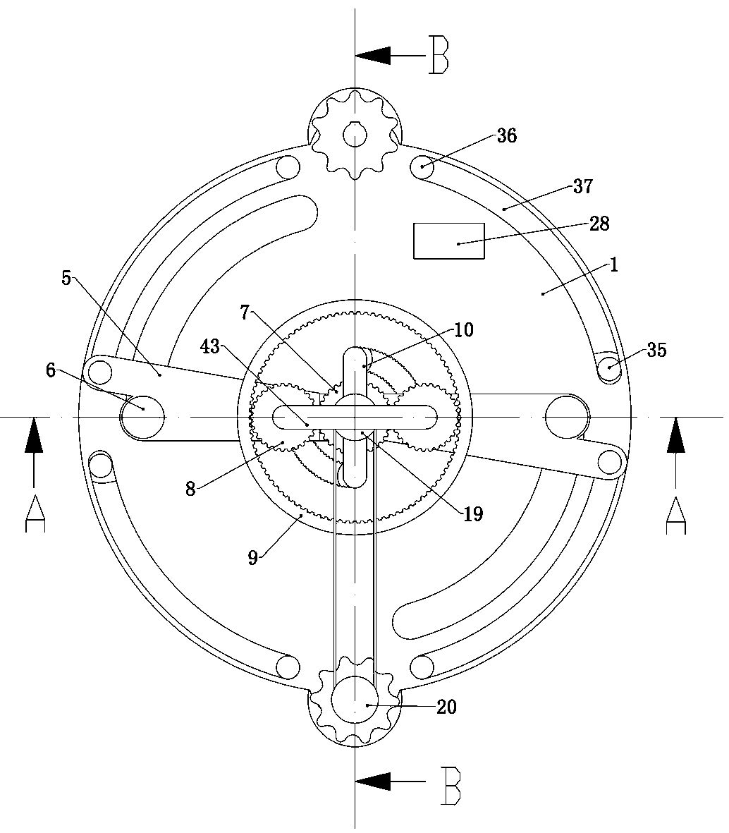 Pathological tumor specimen fixator