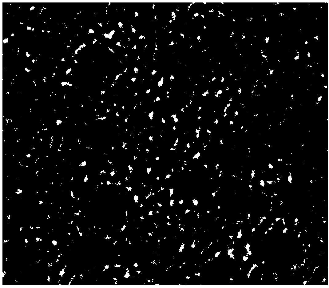 Preparation method of gel polymer lithium ion battery