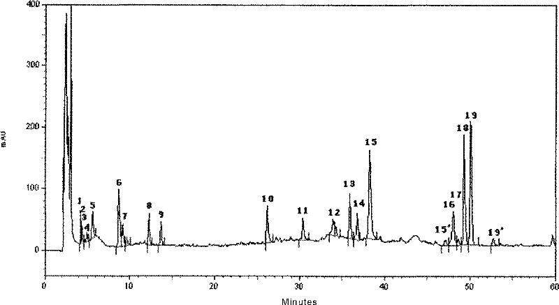 Radix astragali medicinal materials, intermediate body and method for testing fingerprint of formulation thereof as well as standard fingerprint