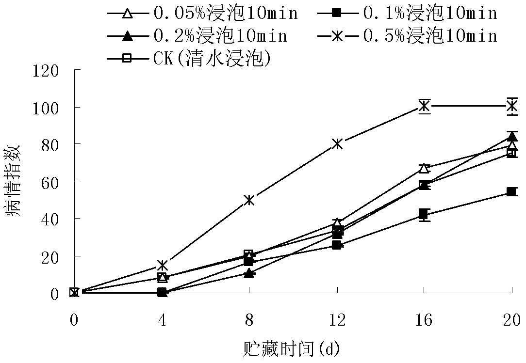 Application of glacial acetic acid in fresh keeping of hot pepper fruit and hot pepper fresh-keeping method