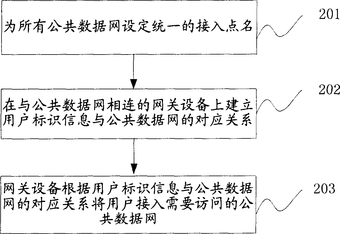 Public data networking access method and system