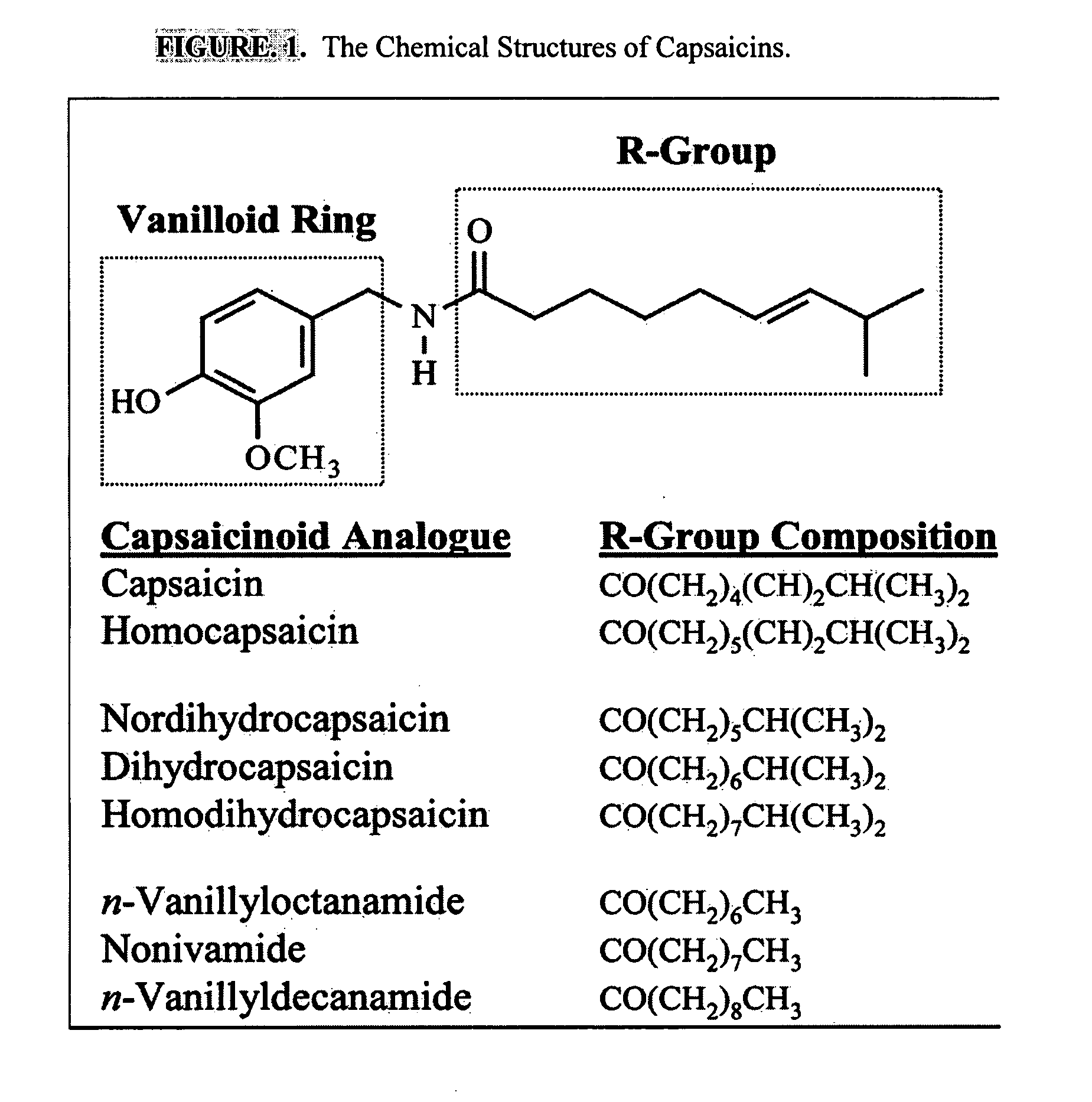 Esters of capsaicin for treating pain