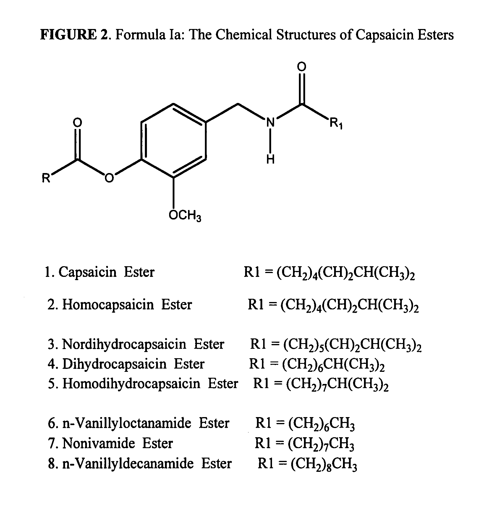 Esters of capsaicin for treating pain