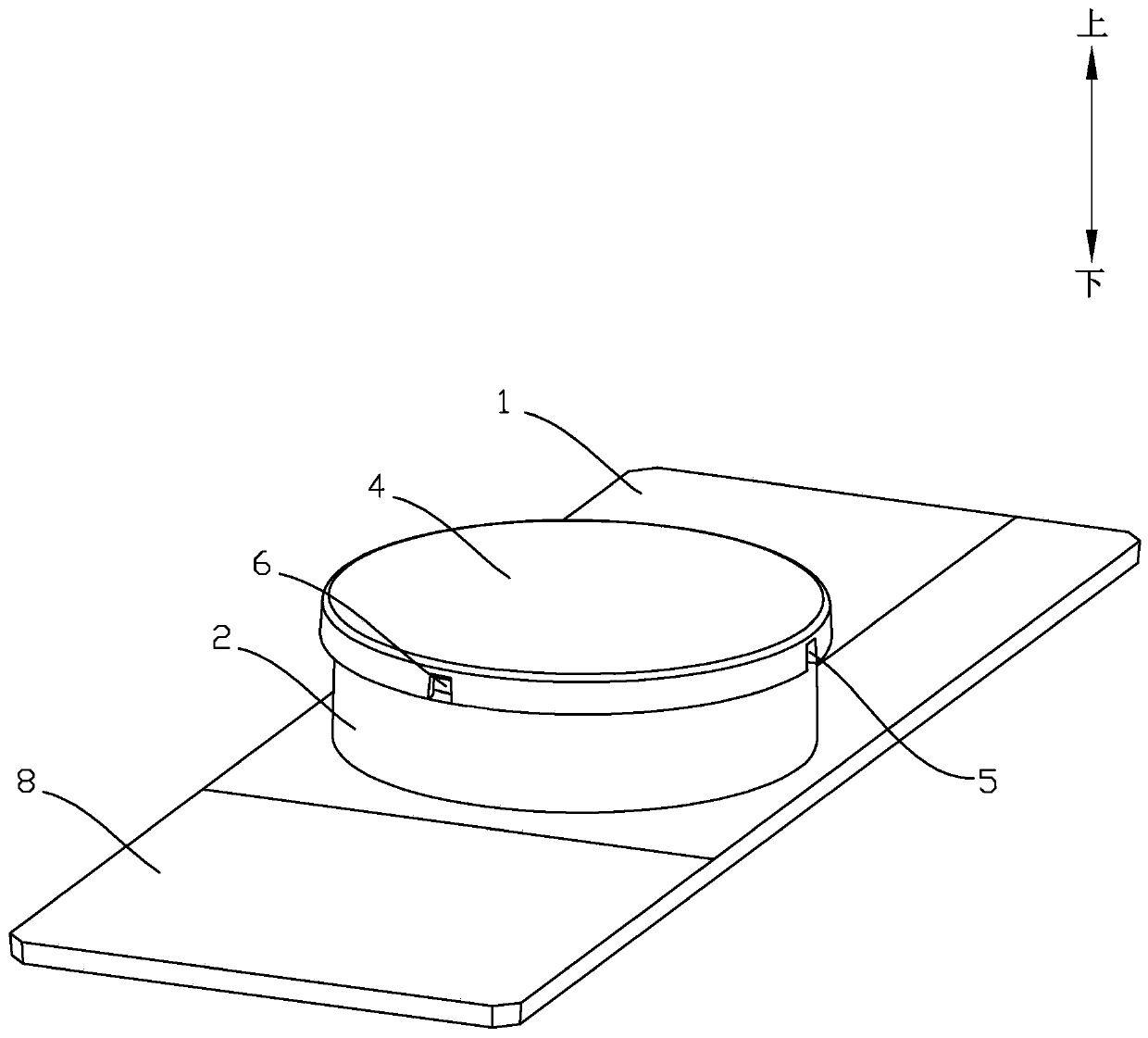 Mycoplasma culture form observation device