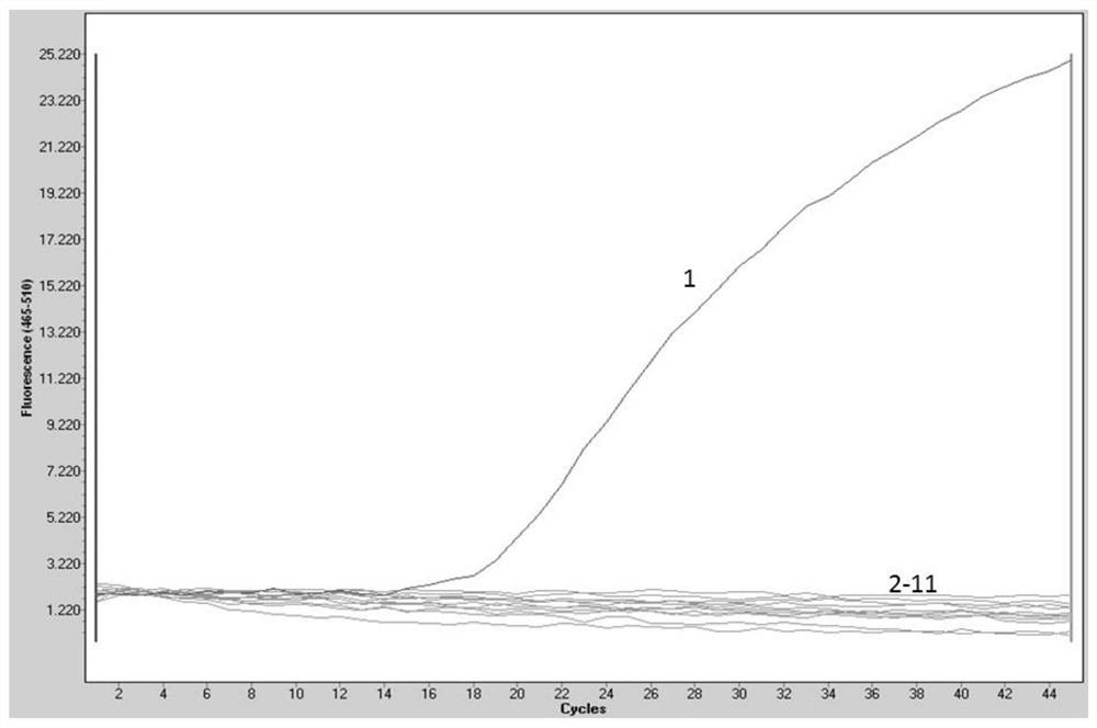 Porcine pseudorabies virus and porcine circovirus 3 double fluorescent quantitative PCR detection primer, probe, kit and method