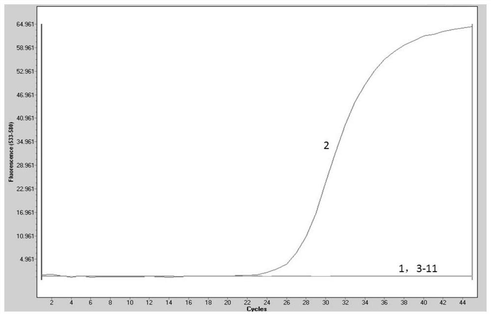 Porcine pseudorabies virus and porcine circovirus 3 double fluorescent quantitative PCR detection primer, probe, kit and method