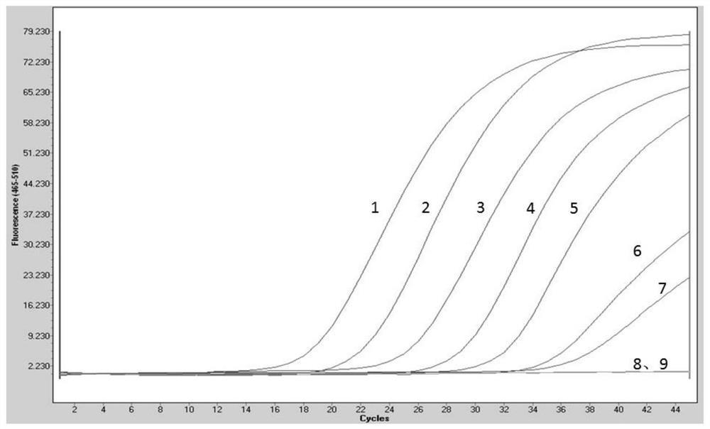 Porcine pseudorabies virus and porcine circovirus 3 double fluorescent quantitative PCR detection primer, probe, kit and method