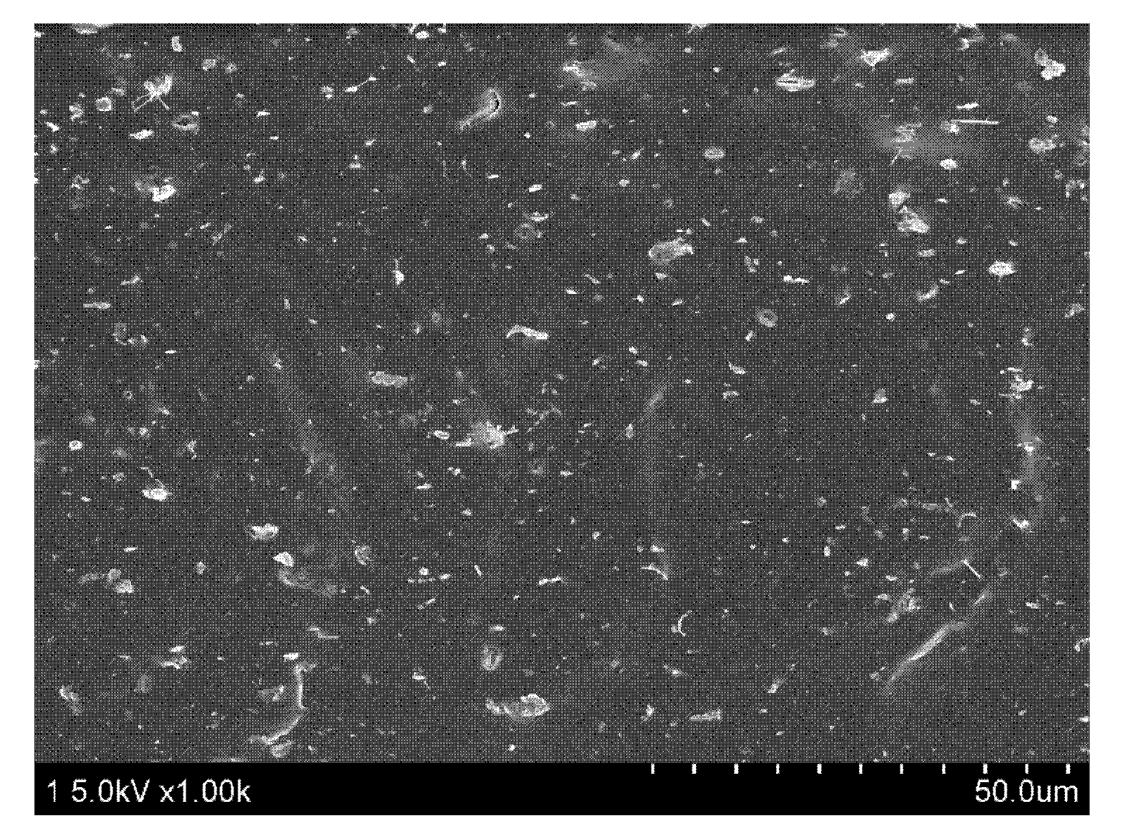 Method for preparing thermoplastic polyurethane (TPU)/ kieselguhr composite material