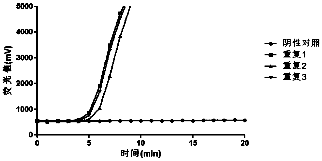 Primer, probe and kit for detecting clonorchis sinensis through RAA fluorescence method