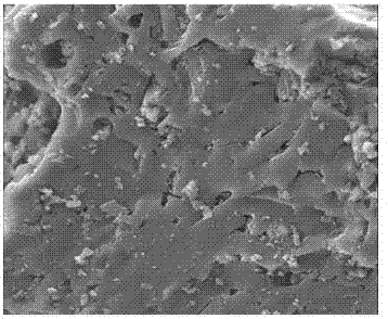 Catalyst for methane preparation using biomass and coal and preparation method and application of catalyst