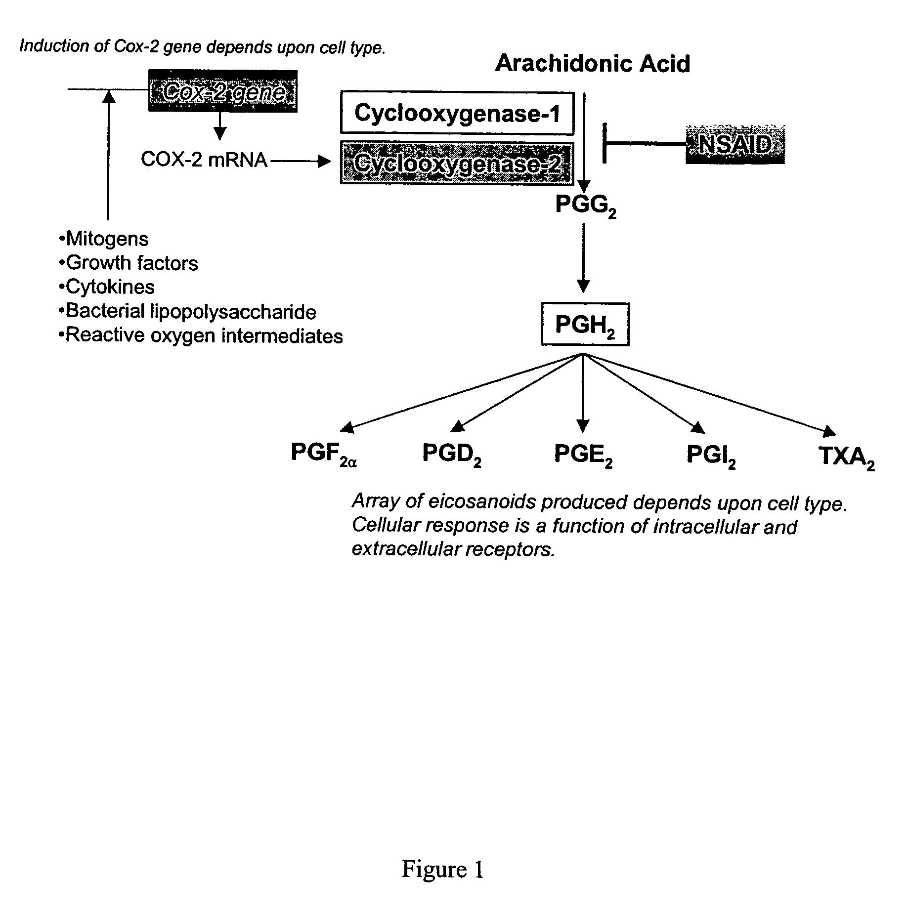 Synergistic compositions that treat or inhibit pathological conditions associated with inflammatory response