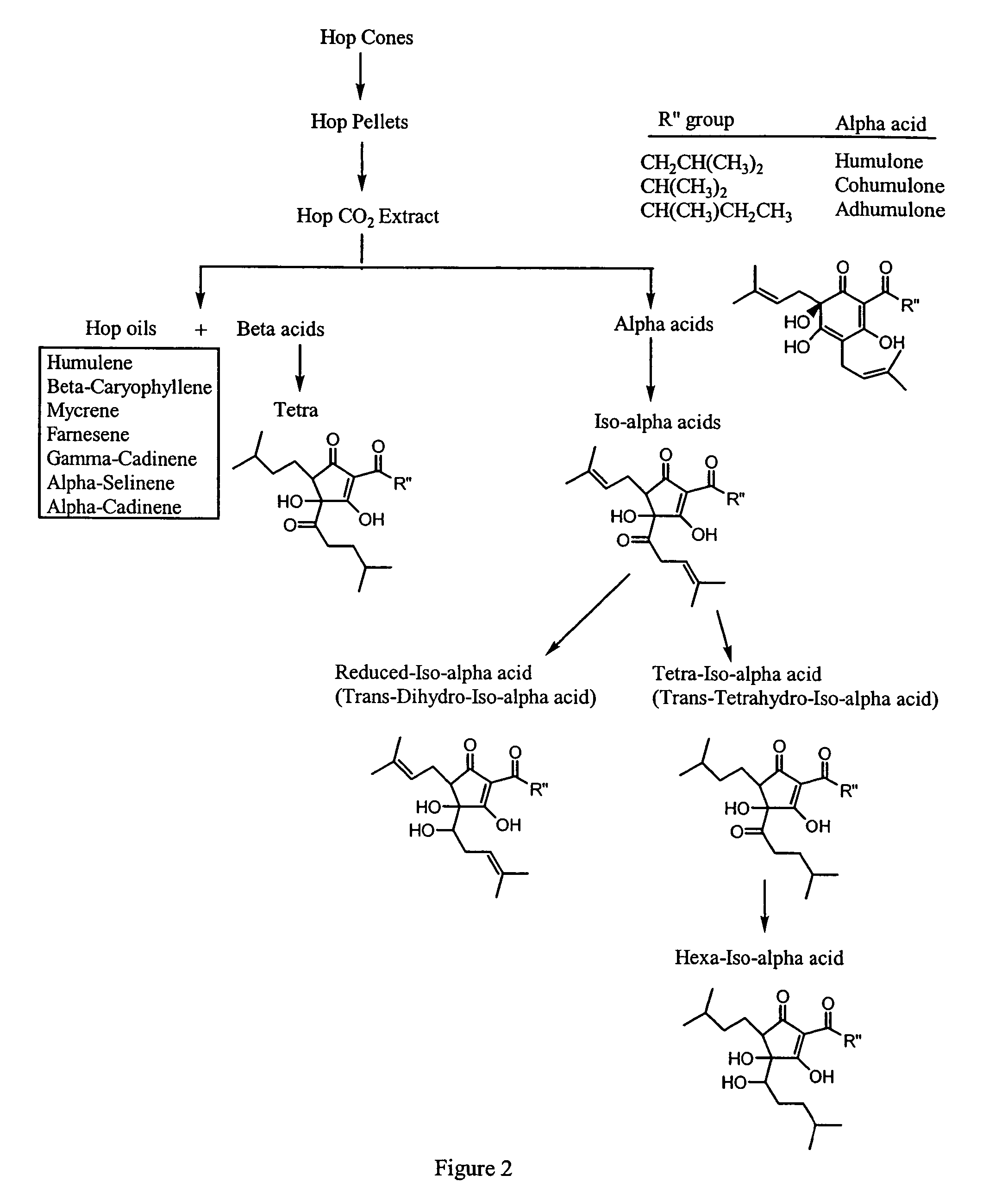 Synergistic compositions that treat or inhibit pathological conditions associated with inflammatory response