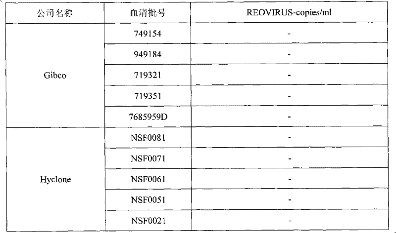 Reovirus-detecting fluorescence quantitative PCR kit and application thereof