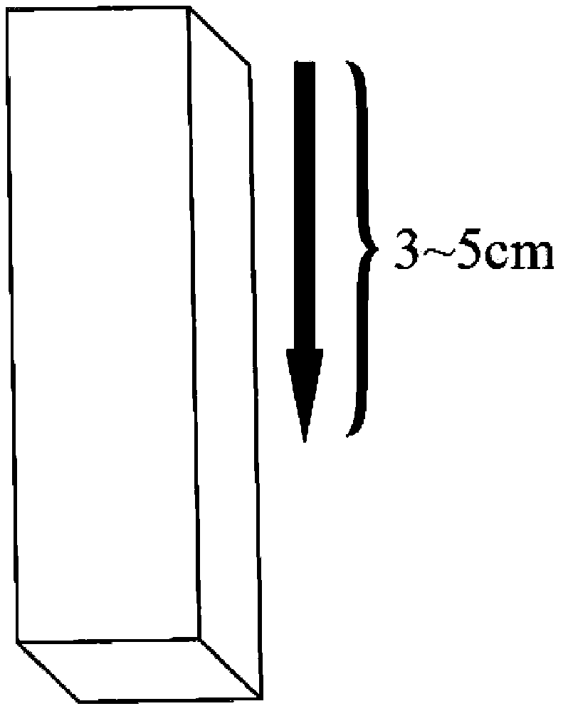 The method of rapid propagation of mulberry cuttings by using flower mud