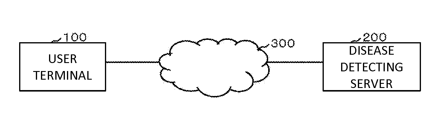 Disease detecting system and disease detecting method