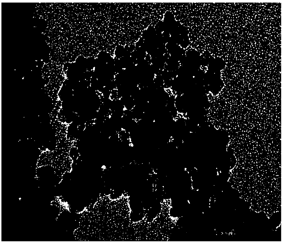 Method for preparing a mesoporous Ag2O/TiO2 composite material