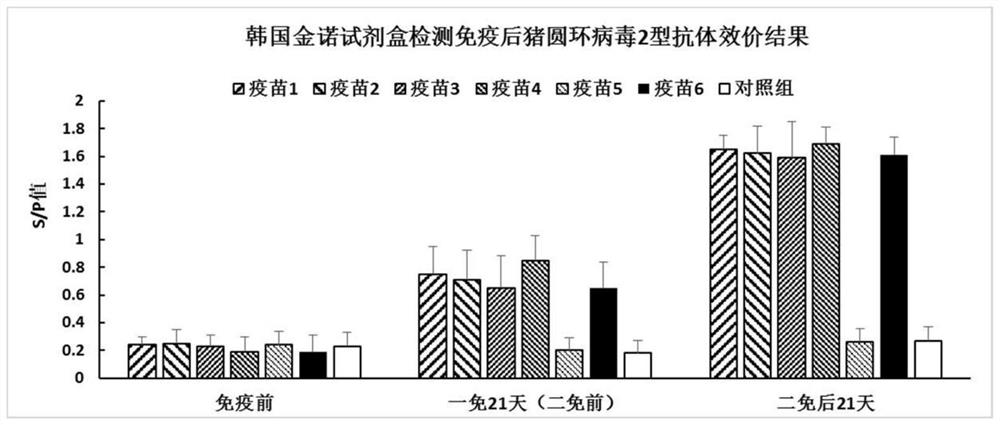 Vaccine of classical swine fever-porcine circular double subunit and its preparation method and application