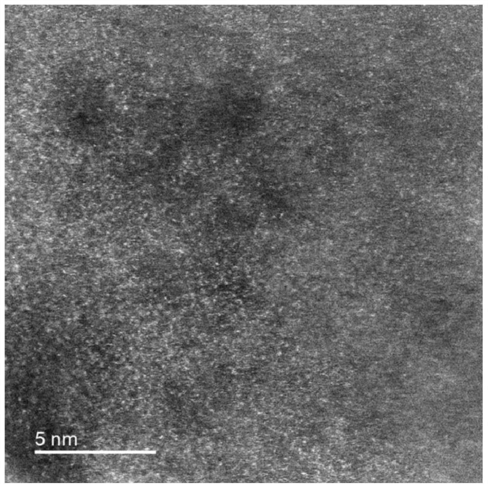 Supported cobalt monatomic catalyst and preparation method and application thereof