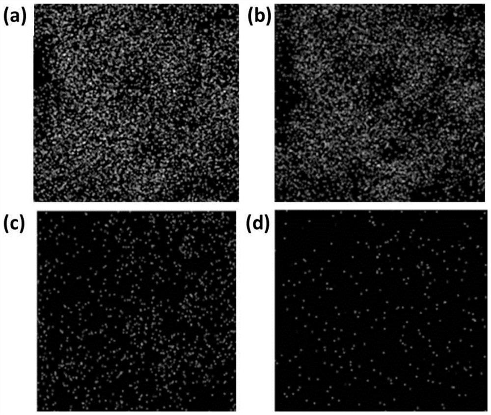 Supported cobalt monatomic catalyst and preparation method and application thereof