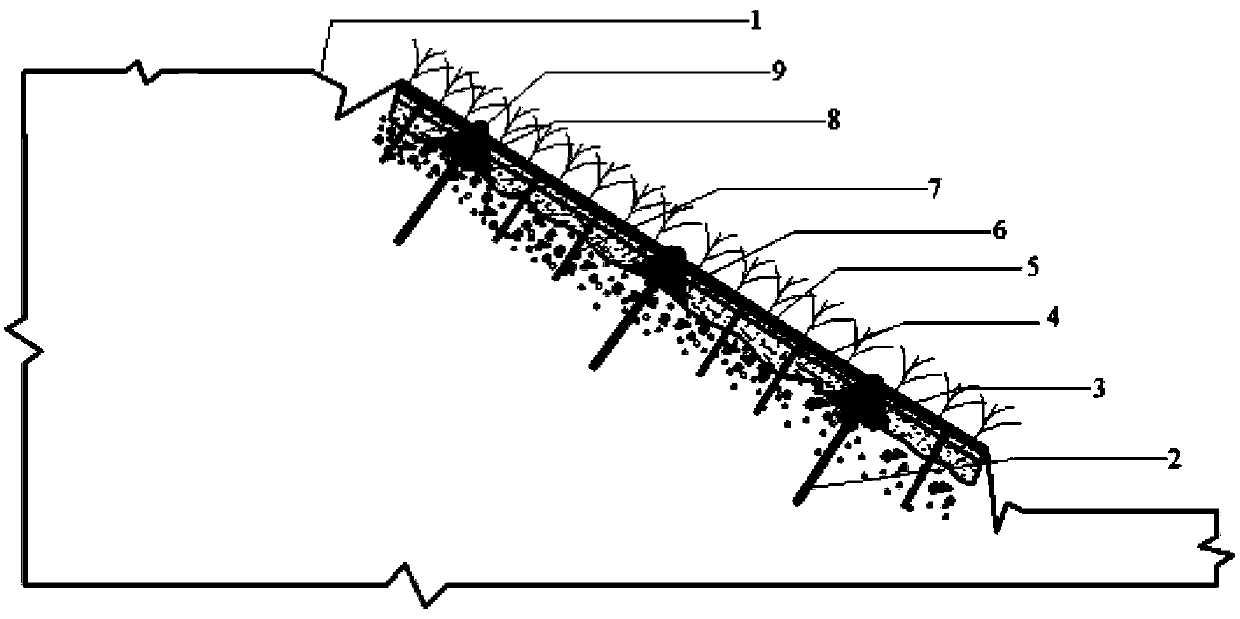 Ecological protection structure of crushed rock side slope dry spray construction frame lattice beams and base material and method