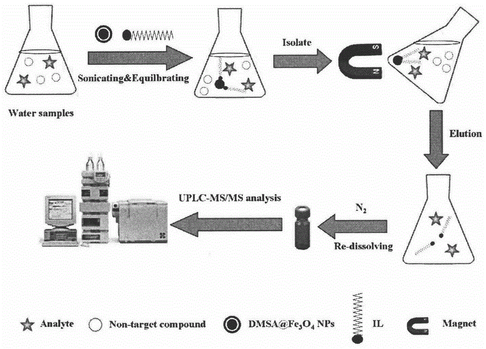 Preparation method for mixed hemimicelle solid-phase extraction agent based on DMSA@Fe3O4 magnetic nanoparticles