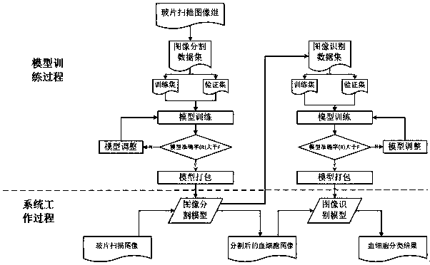 Blood cell segmentation and recognition model construction method and blood cell recognition method